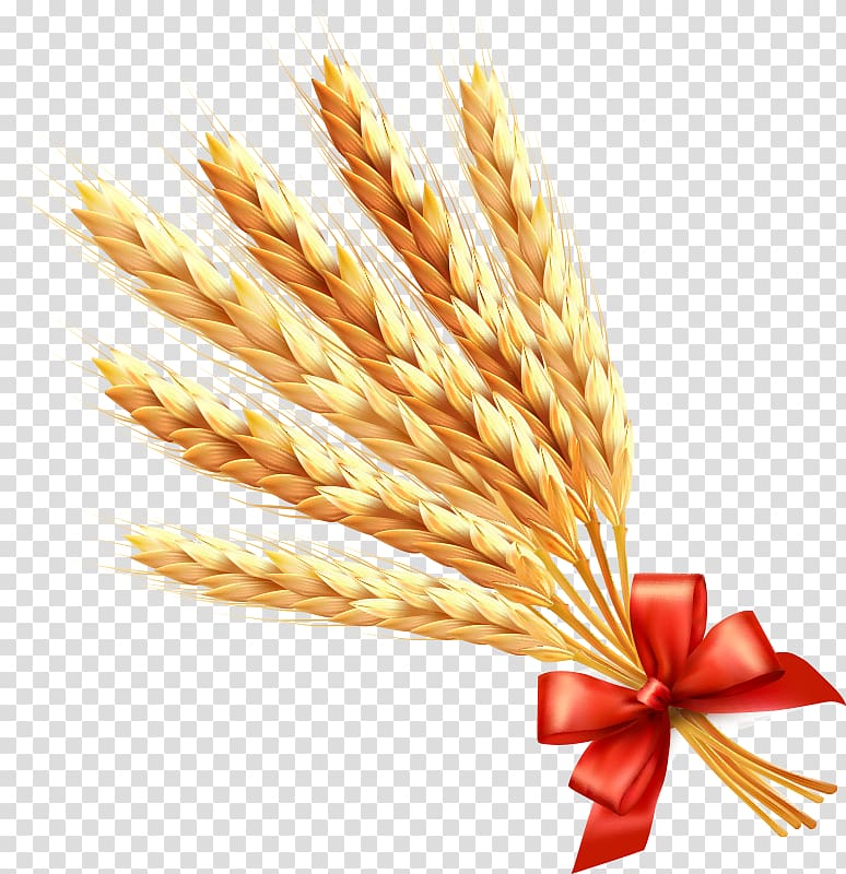 Wheat Ear Cereal , wheat transparent background PNG clipart