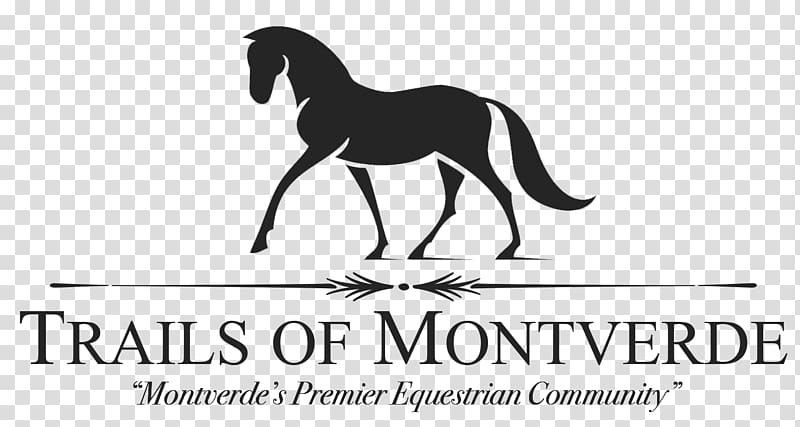 Mustang Black Horse Inn Pony Stallion Logo, mustang transparent background PNG clipart