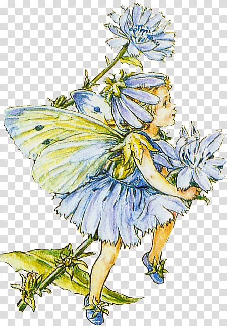 Flower Fairies of the Spring The book of the flower fairies Fairy Cross-stitch, Fairy flower transparent background PNG clipart