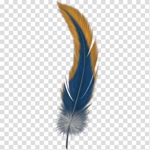 yellow, blue, and gray feather , Bird Feather, Feather transparent background PNG clipart