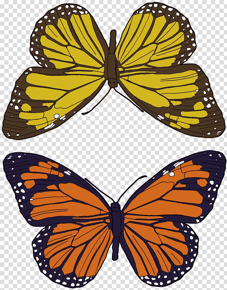 Monarch butterfly Insect Nymphalidae Pollinator, butterfly pattern transparent background PNG clipart