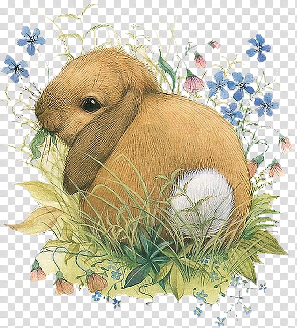 Domestic rabbit Vera the Mouse Watercolor painting Illustrator, painting transparent background PNG clipart