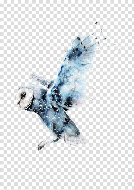 watercolor owl transparent background PNG clipart