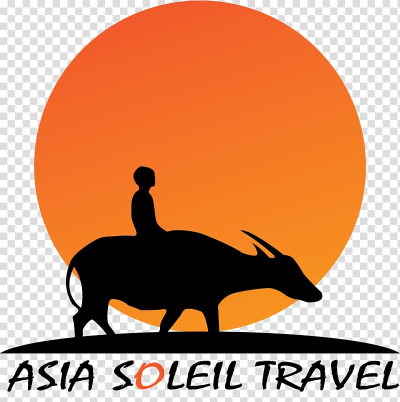 Hanoi Asia Soleil Travel Tourist attraction Hạ Long, travel asia transparent background PNG clipart