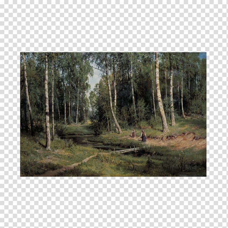 Birch forest In The Birch Tree Forest Countess Mordvinova's Wood. Peterhof Landscape painting Realism, Russia transparent background PNG clipart