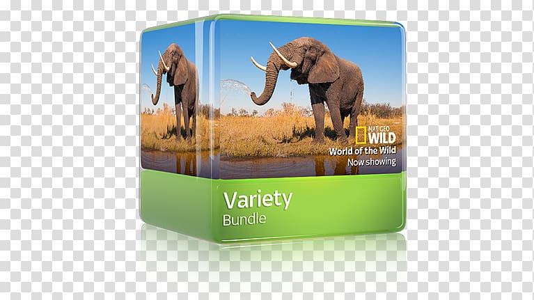 Sticker Atlas of the World Activity Book Elephantidae Brand, variety entertainment transparent background PNG clipart