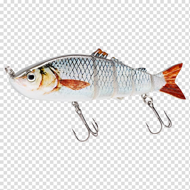Fishing Baits & Lures Fishing Reels Fishing Rods, roach transparent background PNG clipart