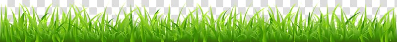 Border Lawn Free content , Cartoon spring grass transparent background PNG clipart