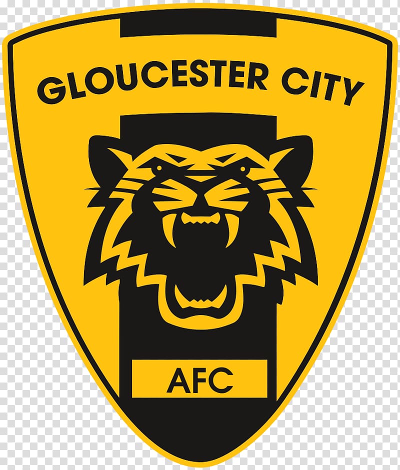 Gloucester City A.F.C. Dartford F.C. National League South Cirencester Town F.C., football transparent background PNG clipart