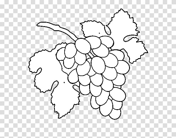 Grape Drawing Raceme Coloring book Painting, grape transparent background PNG clipart