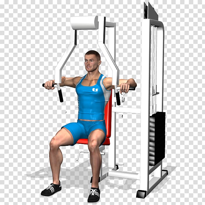 Weight training Barbell Bench press Strength training, barbell transparent background PNG clipart