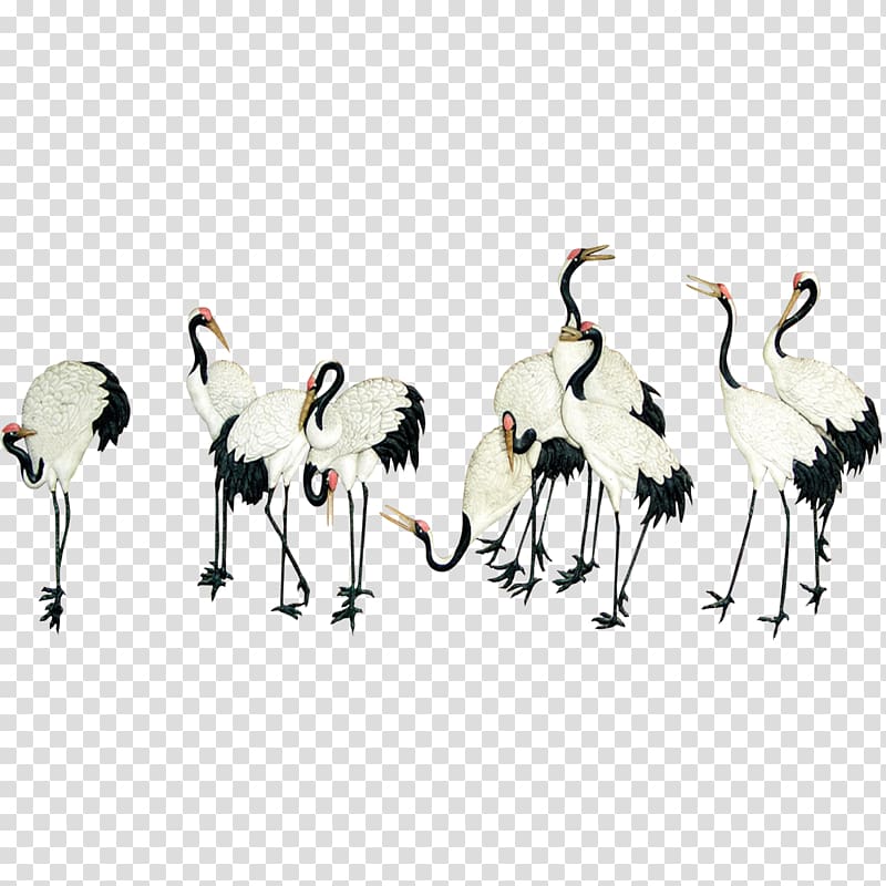 white-and-black birds, Crane Bird Resource, Crane transparent background PNG clipart