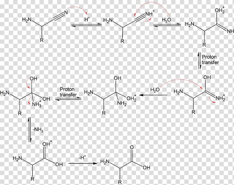 Strecker amino acid synthesis Dehydration reaction Chemical synthesis, Hydrolysis transparent background PNG clipart