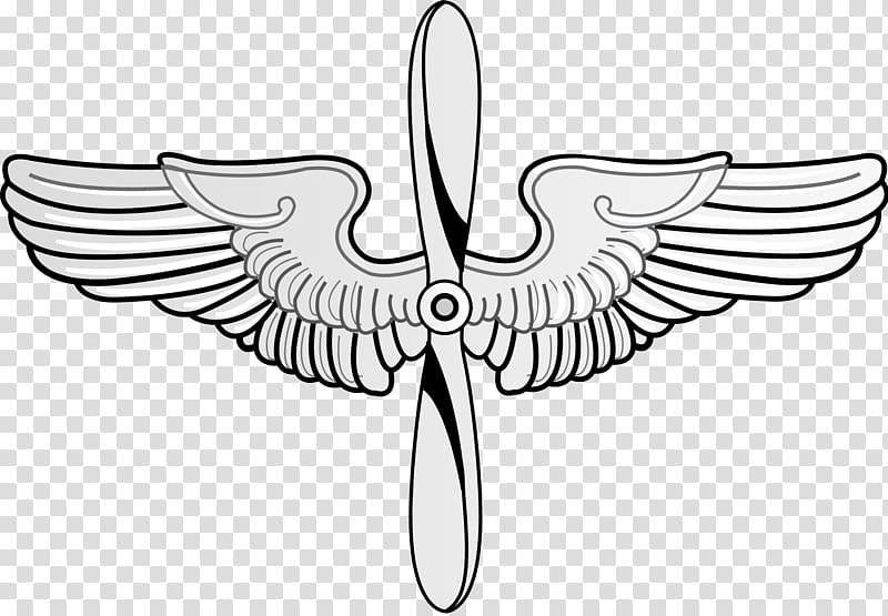 United States Air Force Academy Prop and Wings Flight Nurse Badge, Pilot Wings transparent background PNG clipart