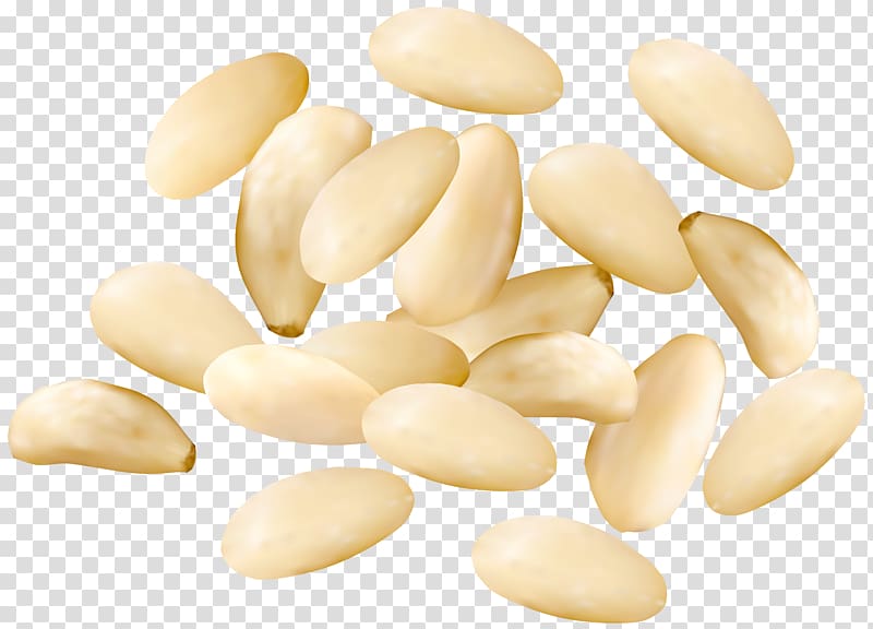 garlics, Nucule Peanut Commodity, Pine Nuts transparent background PNG clipart