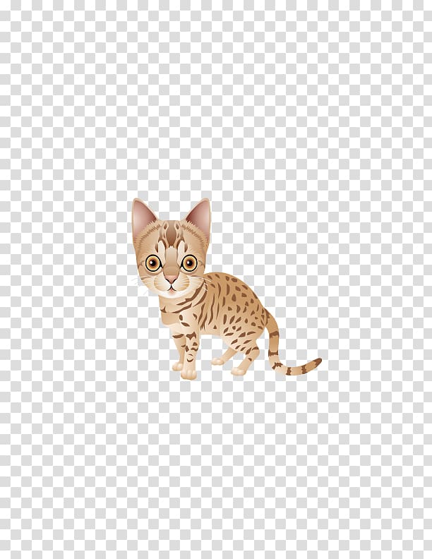 Ocicat Bengal cat Savannah cat California Spangled Kitten, Meng pet cat transparent background PNG clipart