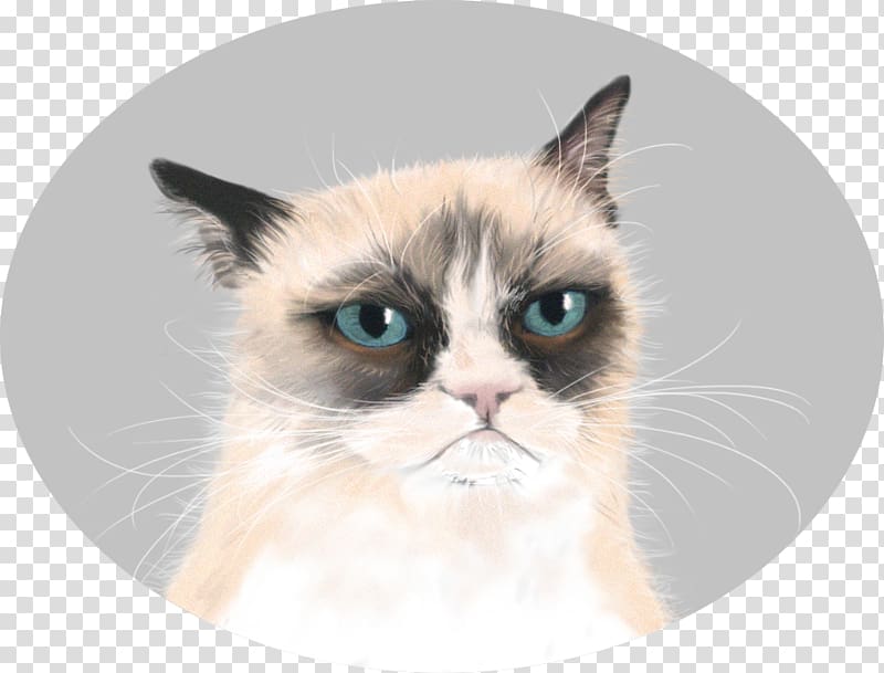 Grumpy Cat Manx cat Kitten Desktop , painted cat transparent background PNG clipart