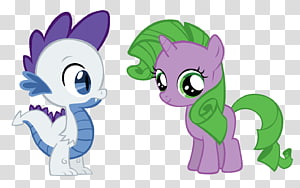 Cat Pony Horse , Cat transparent background PNG clipart thumbnail