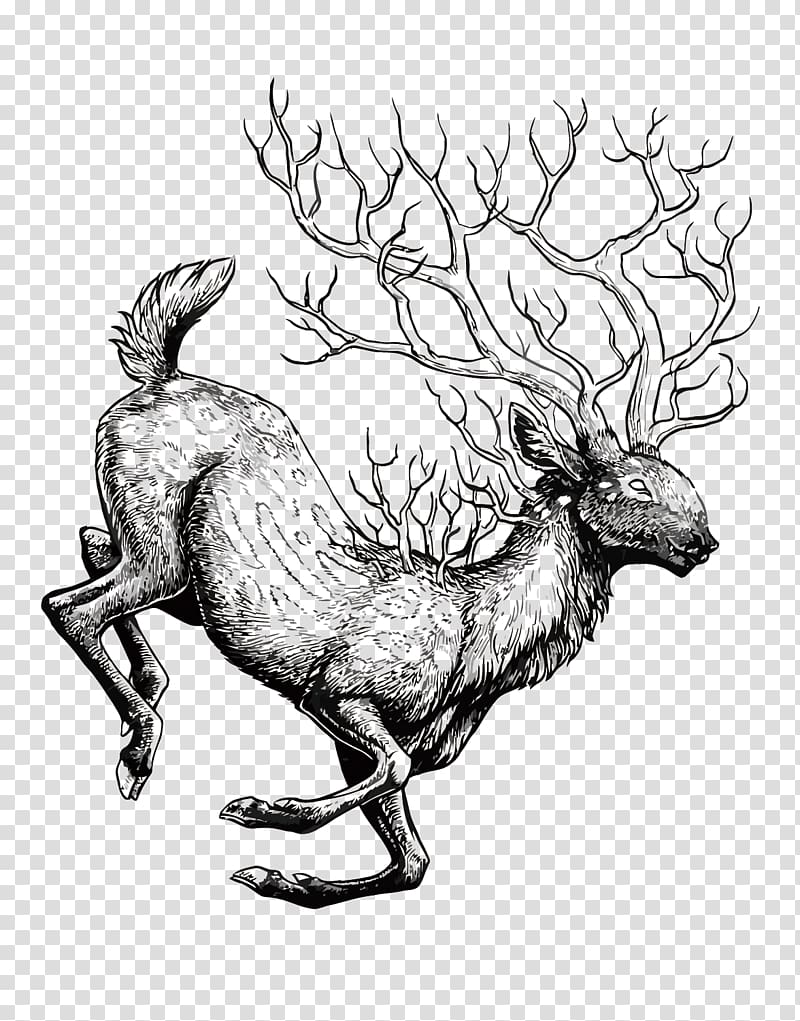 Reindeer Red deer, forest deer transparent background PNG clipart