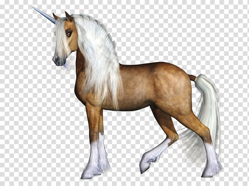 brown and white unicorn illustration, Unicorn horn 3D computer graphics Unicorn Black, Unicorn transparent background PNG clipart