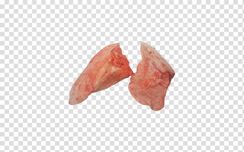 Pig\'s ear Mineral, others transparent background PNG clipart