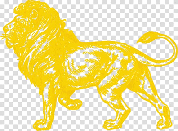 Golden lion tamarin Aslan , lion transparent background PNG clipart