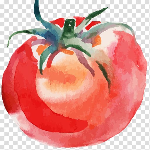 Tomato soup Watercolor painting Drawing, painting transparent background PNG clipart