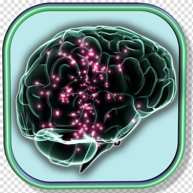 Electrical brain stimulation Neuroscience Memory Electrical brain stimulation, Brain transparent background PNG clipart