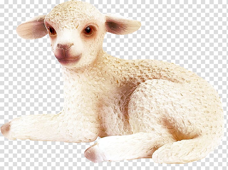 Sheep Agneau Portable Network Graphics Cartoon, Oveja transparent background PNG clipart