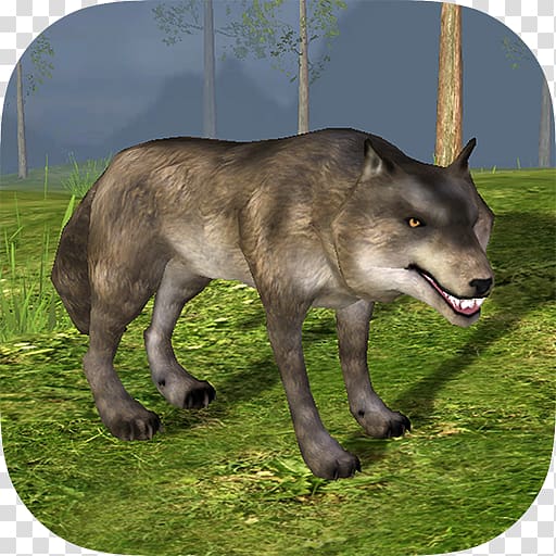 Gray wolf Cube City: Dog Simulator 3D Princess Royal Pet School Wild Wolf City Revenge SIM Ear Surgery Simulator, android transparent background PNG clipart