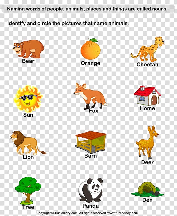 Naming Words: Nouns and Pronouns Kindergarten Worksheet Plural First grade, Animals Vocabulary For Kids transparent background PNG clipart