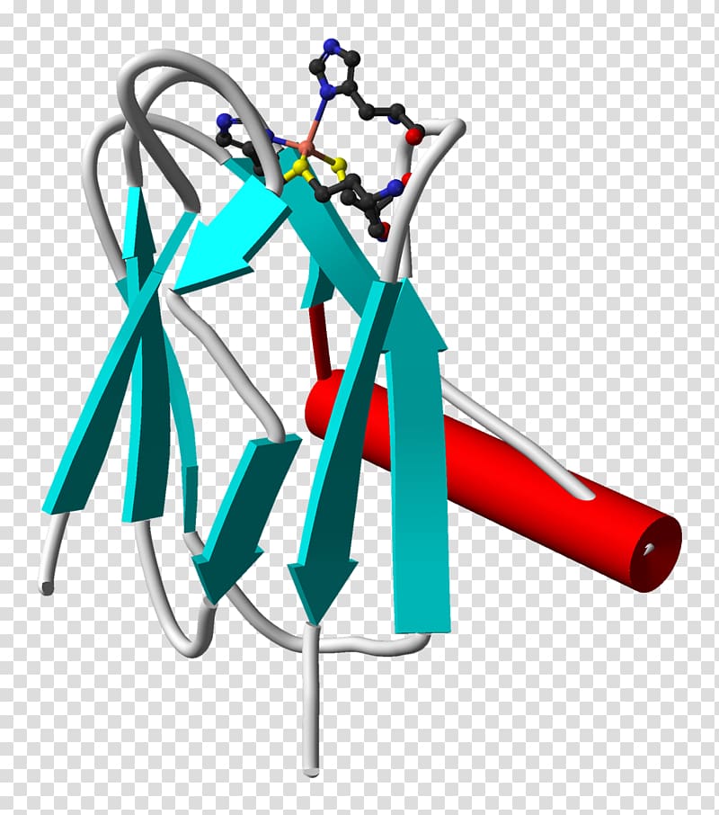 Plastocyanin Light-dependent reactions Cytochrome b6f complex system, from transparent background PNG clipart