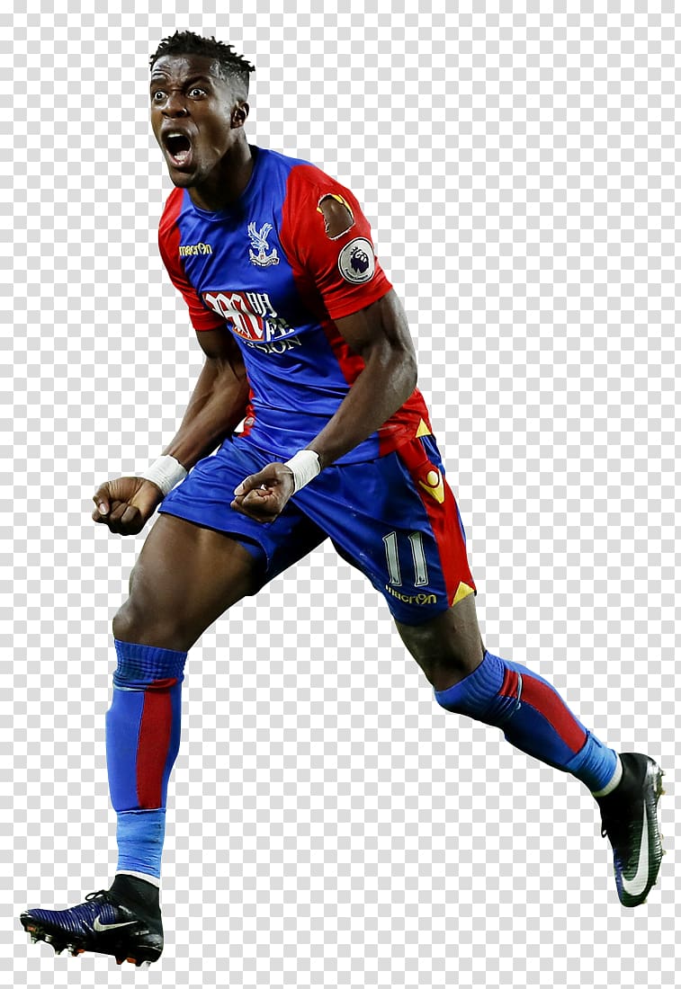 Crystal Palace F.C. Soccer player Football player, football transparent background PNG clipart