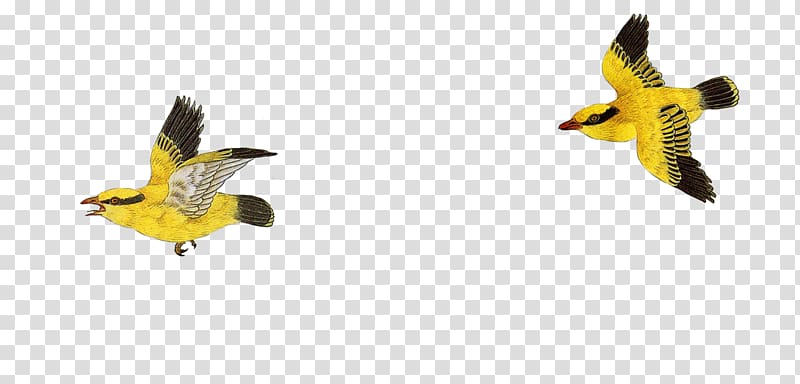 Bird-and-flower painting Chinese painting Television, Flying little yellow bird transparent background PNG clipart