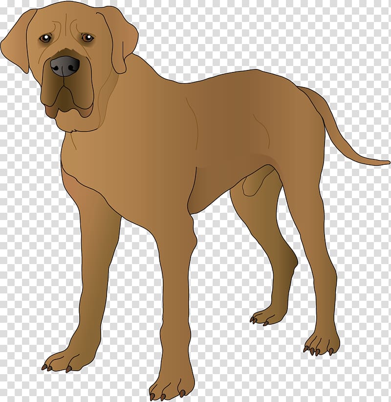 English Mastiff Boerboel Bullmastiff Red Line Group Fortune-telling, Dog transparent background PNG clipart