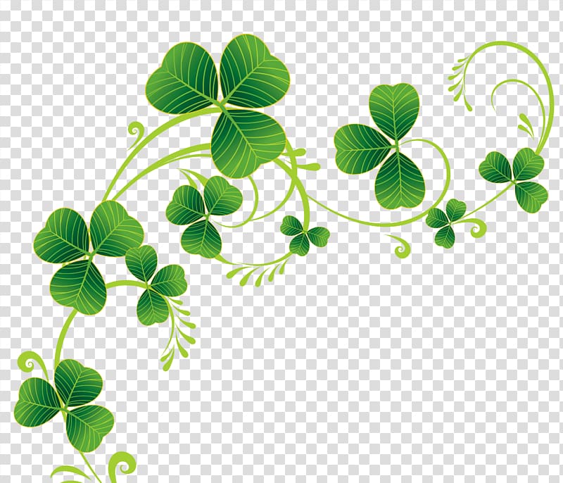 Shamrock Saint Patrick's Day , Shamrocks Decor , green plants illustration transparent background PNG clipart