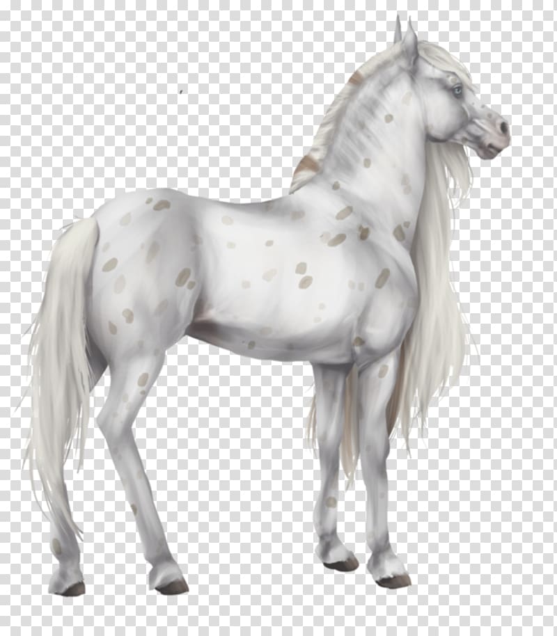 Foal Stallion Colt Mustang Pony, mustang transparent background PNG clipart