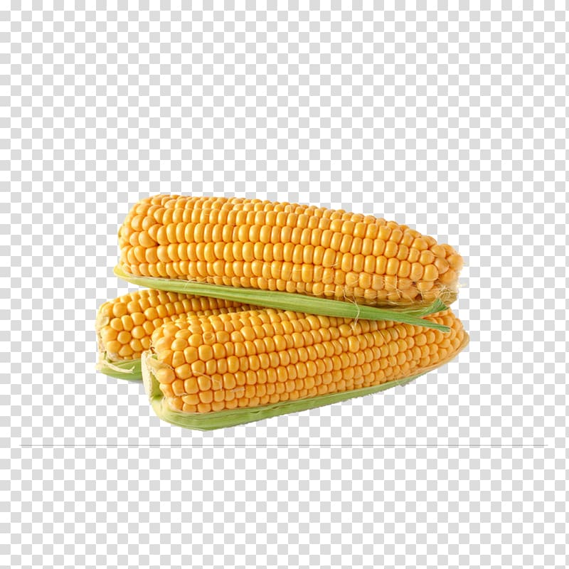 Corn on the cob Maize Sweet corn Baby corn Corncob, corn transparent background PNG clipart