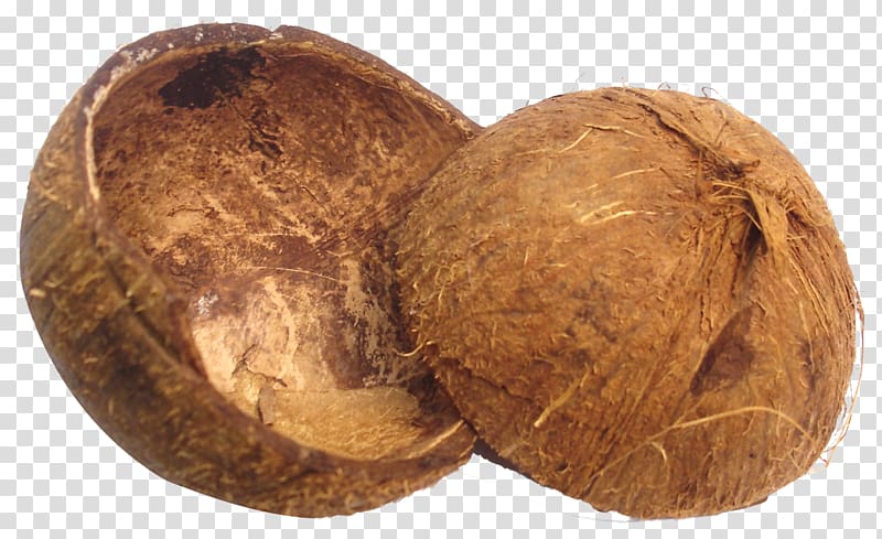 brown coconut shells, Coconut sugar Manufacturing Fruit Coconut oil, Coconut Shell transparent background PNG clipart