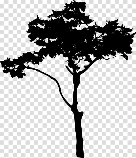 Silhouette , tree top transparent background PNG clipart