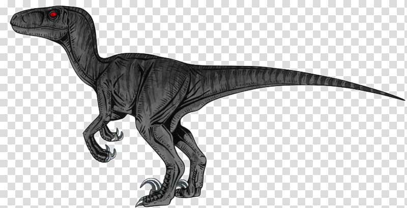 Velociraptor Tyrannosaurus Dinosaur Deinonychus Dryptosaurus, soundcloud transparent background PNG clipart