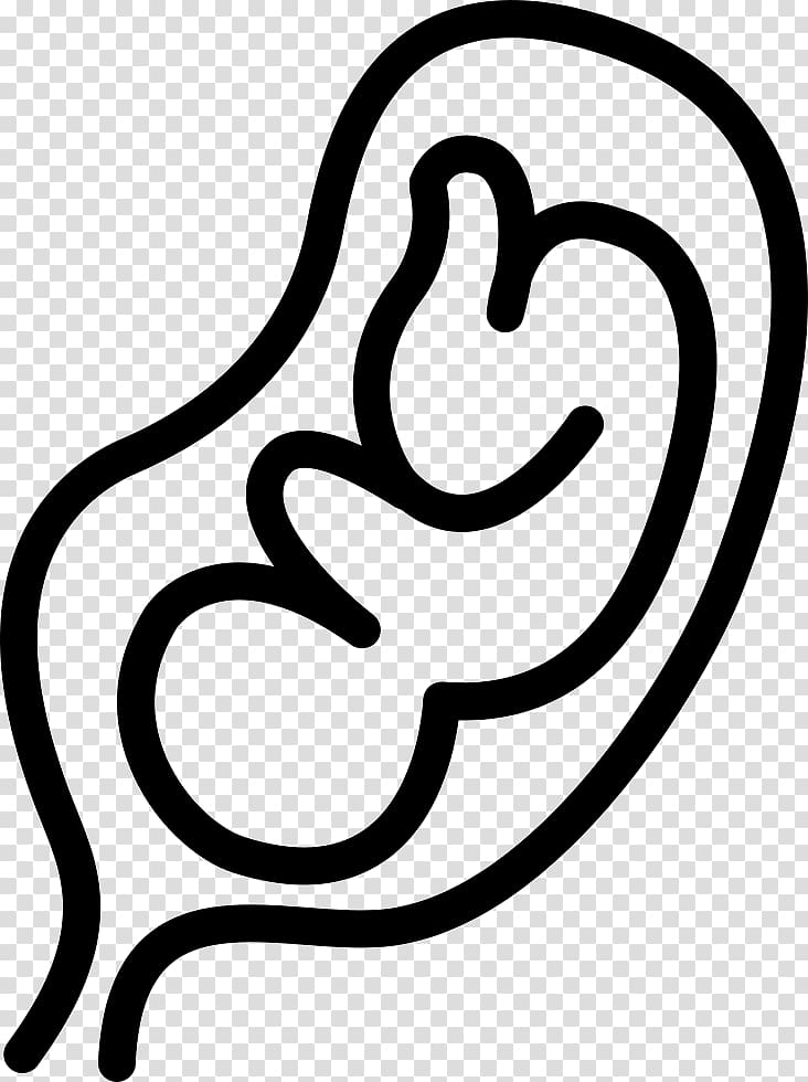 Fetus Infant Pregnancy Uterus, pregnancy transparent background PNG clipart