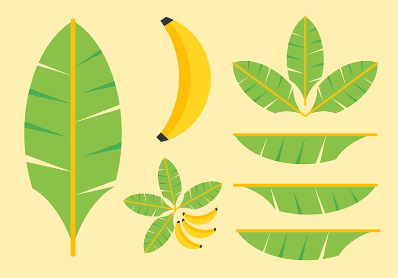 Banana leaf , banana leaves transparent background PNG clipart