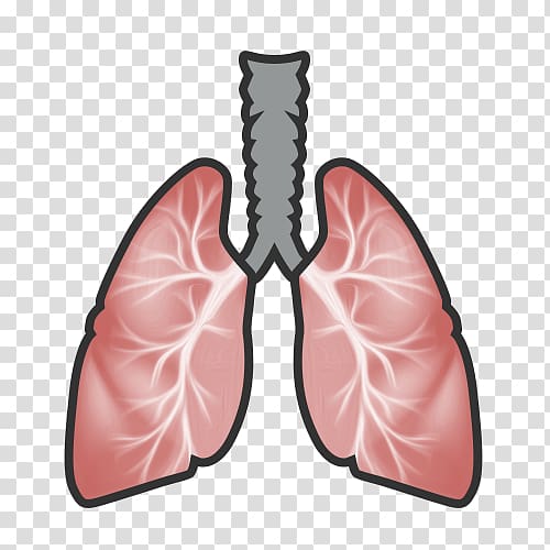 Stress Lung Amygdala Health Nervous system, health transparent background PNG clipart