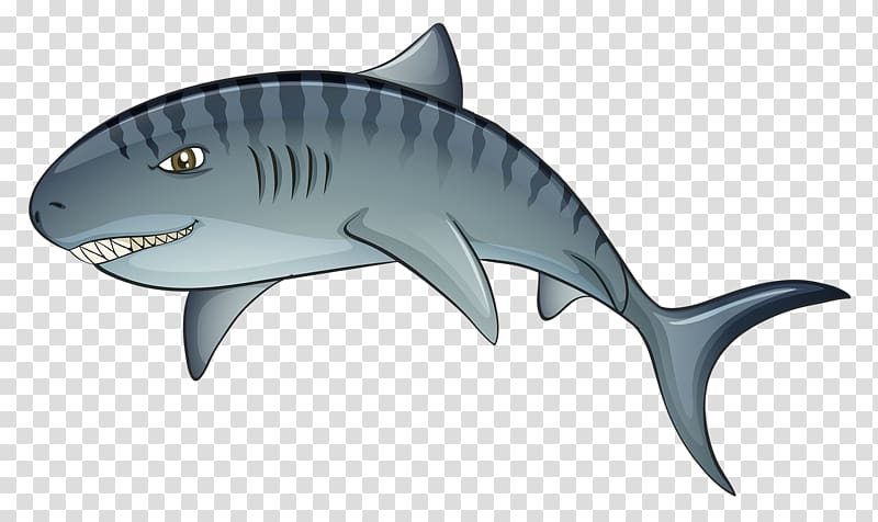 Tiger shark Tiger shark Cartoon, Sharks Leap transparent background PNG clipart