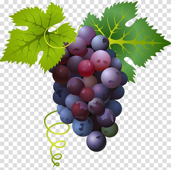 Common Grape Vine, grape fruit transparent background PNG clipart