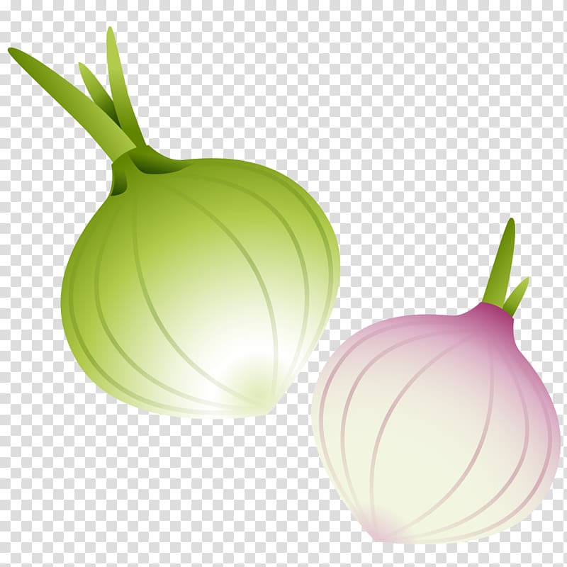 Red onion Vegetable, Hand-painted onion transparent background PNG clipart