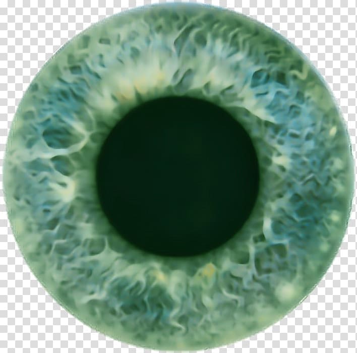 Iris Human eye Pupil Color, Eye transparent background PNG clipart