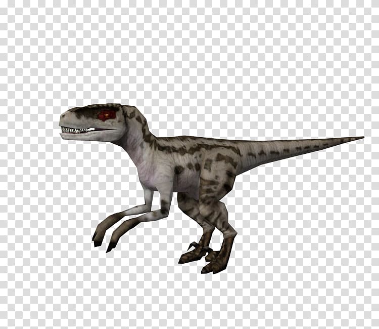 Velociraptor Jurassic Park: Operation Genesis Jurassic World Evolution Tyrannosaurus YouTube, youtube transparent background PNG clipart