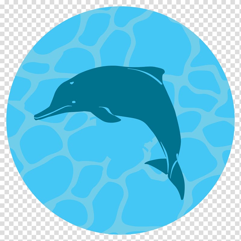 Common bottlenose dolphin Tucuxi Earth Hour 2018 Green sea turtle, others transparent background PNG clipart
